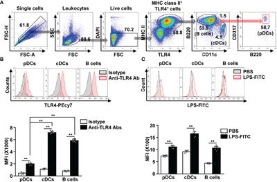 Mice Plasmacytoid Dendritic Cells Were Activated by Lipopolysaccharides Through Toll-Like Receptor 4/Myeloid Differentiation Factor 2